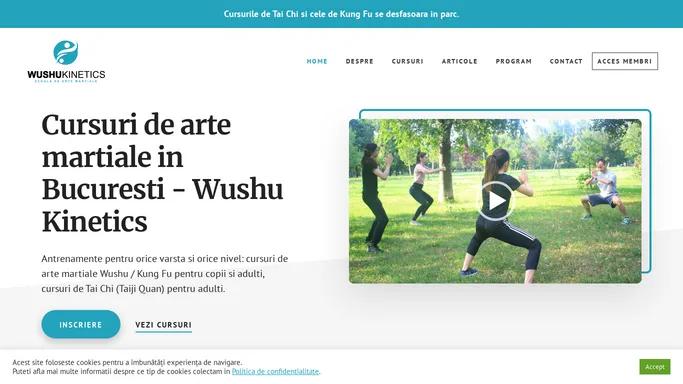 Cursuri arte martiale Wushu Kung Fu in Bucuresti - Wushu Kinetics