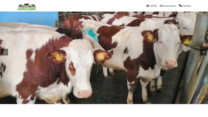 Vanzari Vaci Montbeliarde - Preturi de producator - Vaci baltate rosu cu alb