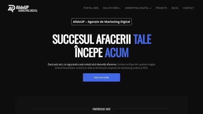 Agentie de Marketing Digital - AlidoUP