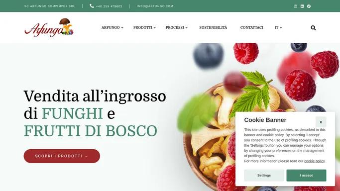 Arfungo Comimpex srl – Vendita all'ingrosso di funghi e frutti di bosco