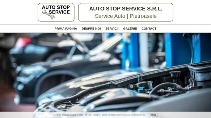 AUTO STOP SERVICE S.R.L. | Service Auto | Pietroasele