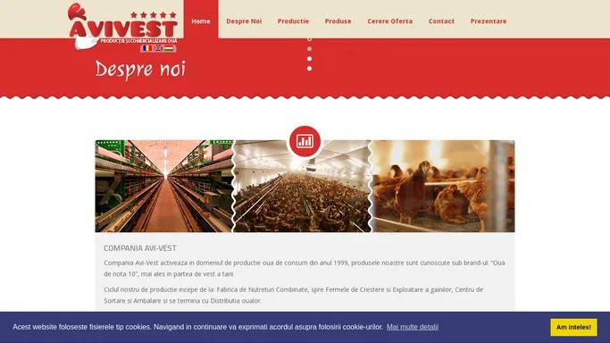 AVIVEST - Producator si comerciant de oua pentru consum