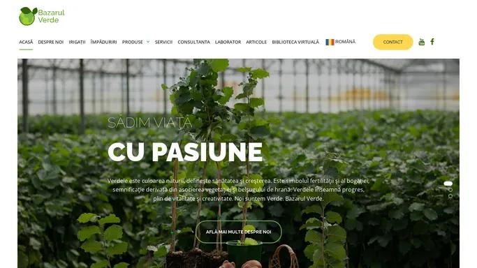 Bazarul Verde – Plantatii de alun, sisteme de irigatii, asistenta completa