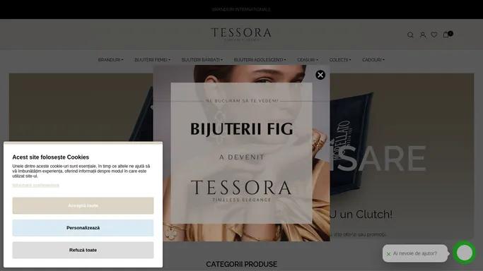 Bijuteri din argint si placate cu aur - Tessora