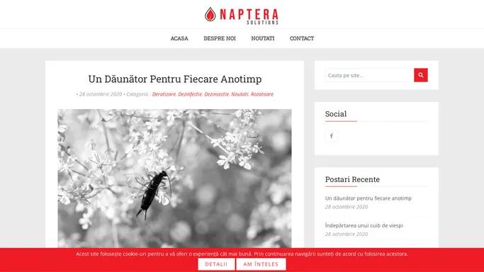 Naptera Blog