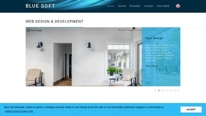 Blue Soft - Web design & development