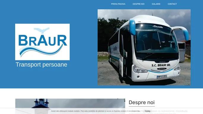 SC BRAUR SRL - Firma transport persoane BAIA MARE