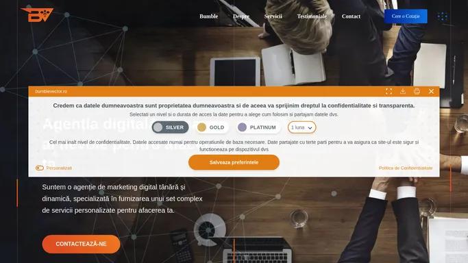 Bumble Vector - Agentia Digitala a Afacerii Tale
