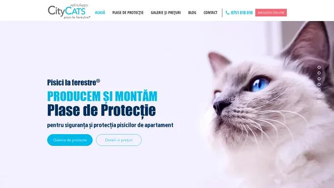 CityCATS | Plase de protectie pentru pisici | Pisici la Ferestre