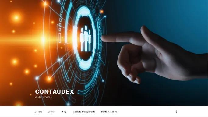 Contaudex – Audit Services