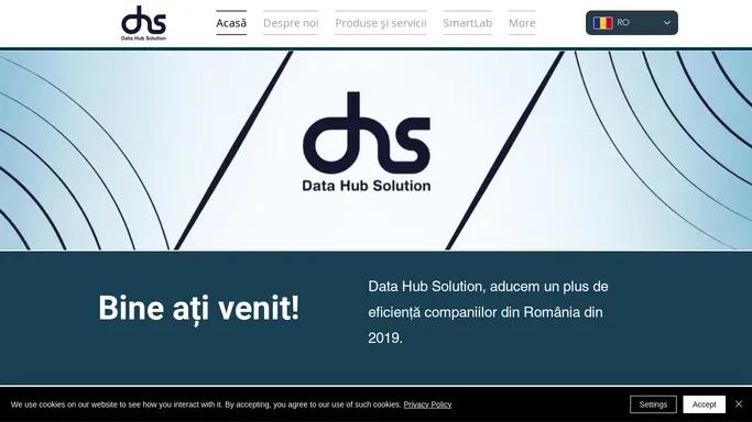 Data Hub Solution| Solutii IT&C | Romania