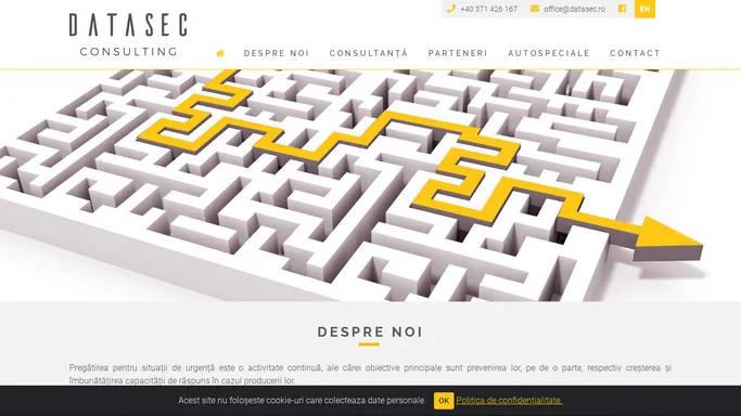 Datasec Consulting - Consultanta in afaceri, achizitii publice, management de proiect