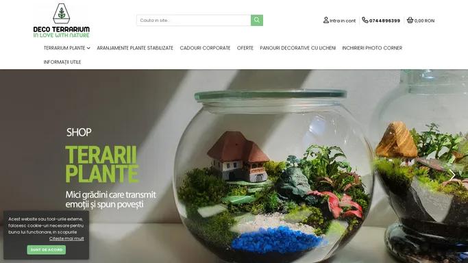 DecoTerrarium | Terarii plante - Aranjamente plante stabilizate