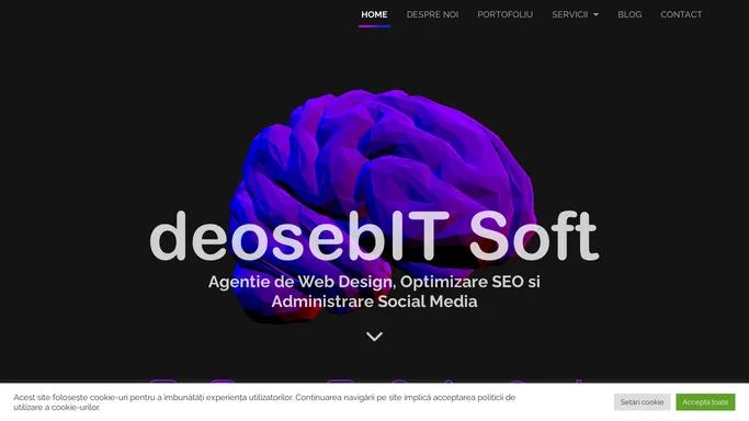 Web Design si Optimizare SEO in Bacau - DeosebIT Soft