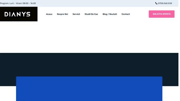 Dianys Holding: Web design, creare website, creare magazin online