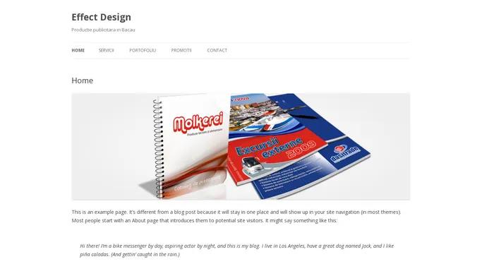 Effect Design | Productie publicitara in Bacau