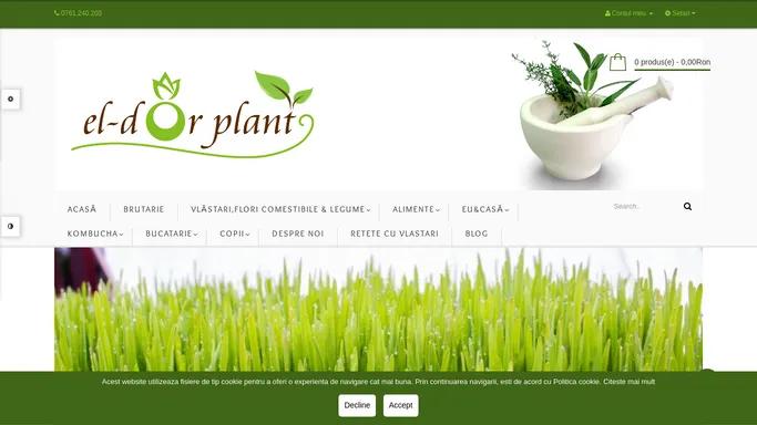 El-Dor Plant