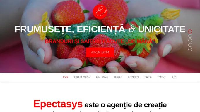 Epectasys - agentie de creatie si strategie web!