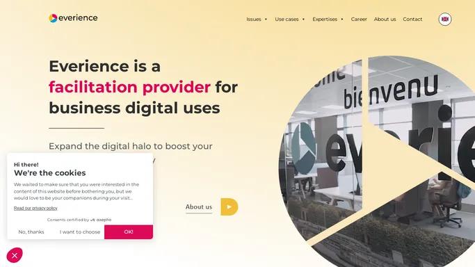 Everience : make easier the digital uses in companies