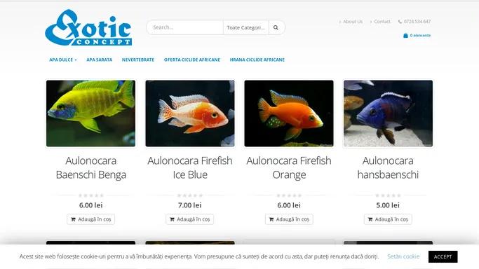 Exotic Concept | Pet Shop Online, Ciclide Africane, Bucuresti – Pesti de acvariu, Ciclide Africane, Mbuna, Haplochromis, Aulonocara