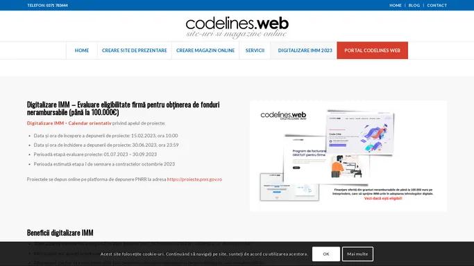 Digitalizare IMM, creare site de prezentare, creare magazin online