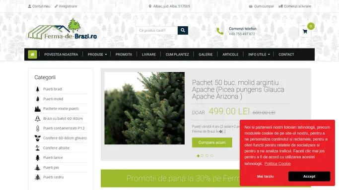 Ferma de Brazi | magazin online cu puieti conifere