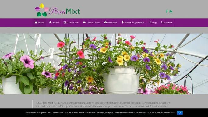 Flora Mixt | Servicii profesionale in domeniul floriculturii