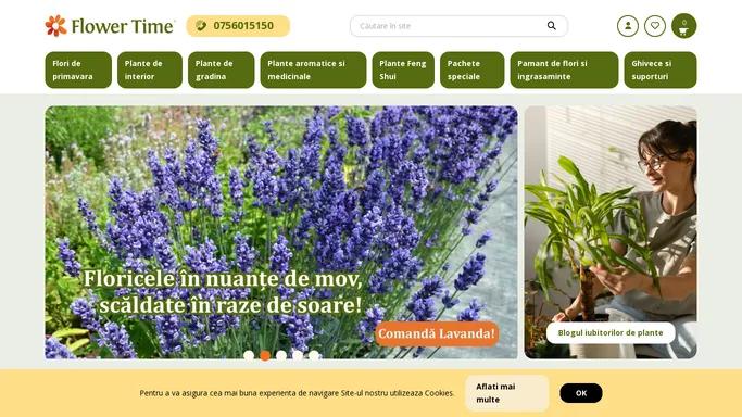 Flowertime.ro | Flori si plante in ghiveci, pentru apartament sau gradina. Comanda din Florarie online cu livrare in toata tara