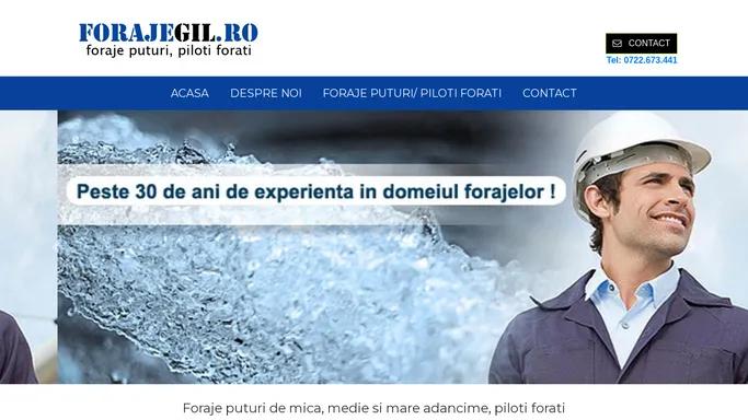 Foraje puturi de mica si mare adancime, piloti si piloni forati