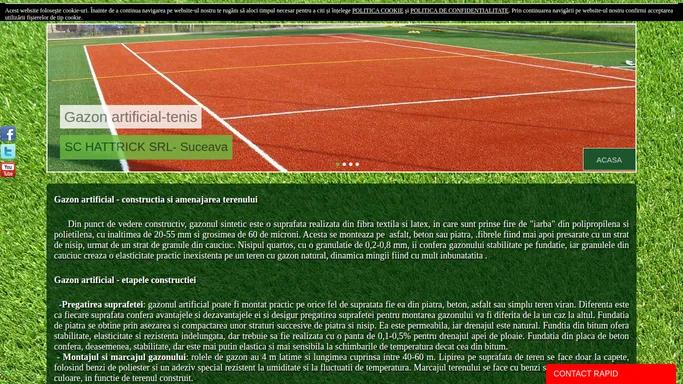 Gazon Artificial Sportiv - Hatrick SRL oferte, preturi, portofoliu