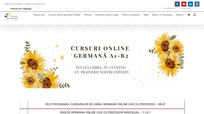 Invata germana ONLINE live- cu profesor