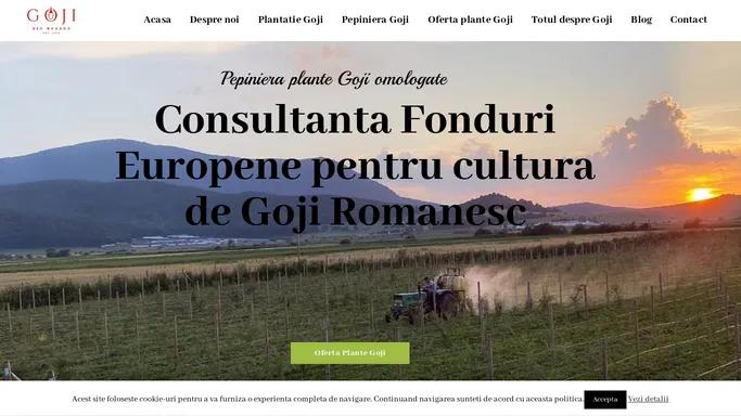 Plantatie de Goji | Culturi cu plante Goji certificate | Goji Bio Brasov