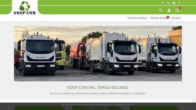 Pagina web Gosp-com, Targu Secuiesc