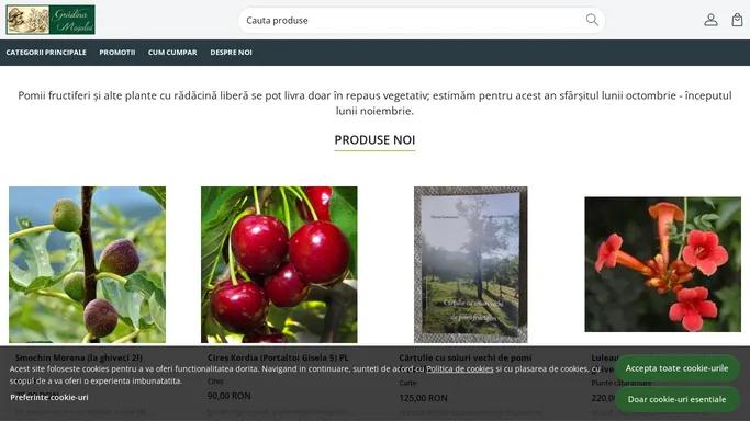 Gradina Mosului - un nou concept de gradina