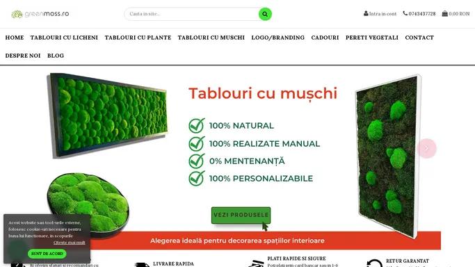 Pereti verzi, tablouri cu licheni, muschi si plante naturale.