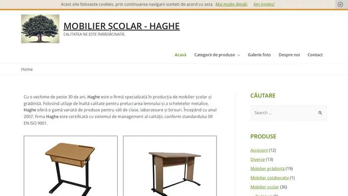 Mobilier scolar - Haghe