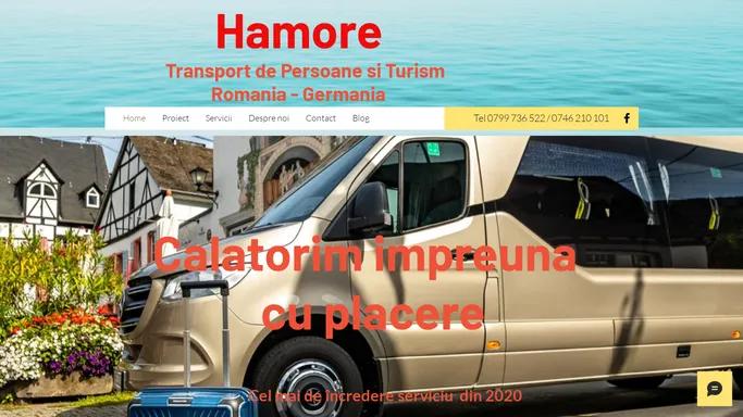 Firma Transport Persoane Romania Germania