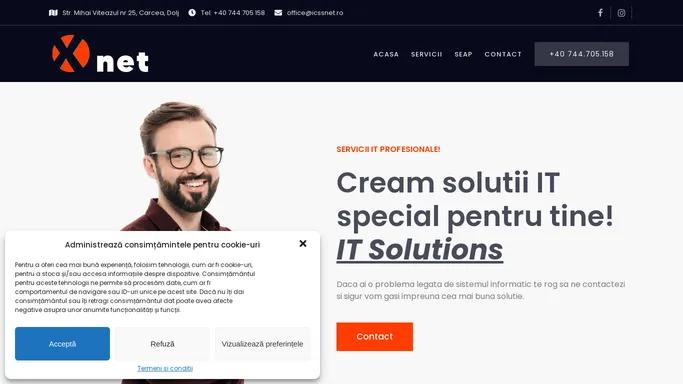 IT SERVICES – Servicii IT Profesionale