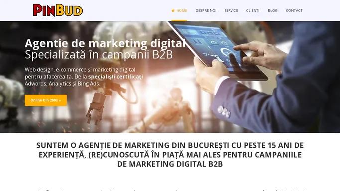 Agentie de Marketing B2B din Bucuresti | PinBud