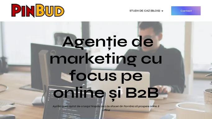 Agentie de Marketing B2B din Bucuresti | PinBud