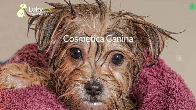 Salon Cosmetica canina targu mures - tuns, spalat, curatat caini