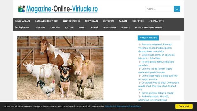 Magazine Online Virtuale