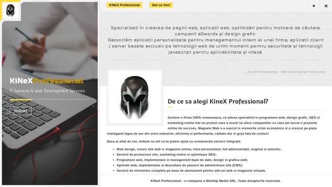 KineX Professional - IT Services & Web Development Services