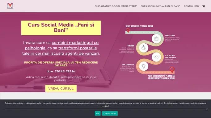 Curs Social Media "Fani si Bani" - Mentoreasa