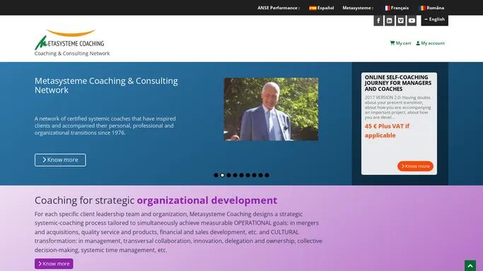 Systemic Executive Coaching, Executive Team Coaching and Organizational Coaching