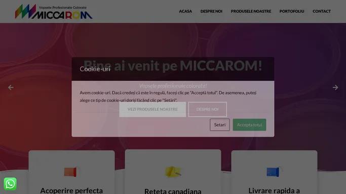 MICCAROM – Vopsele profesionale colorate!