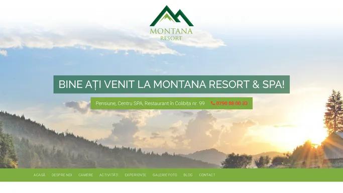 Montana Resort - Colibita