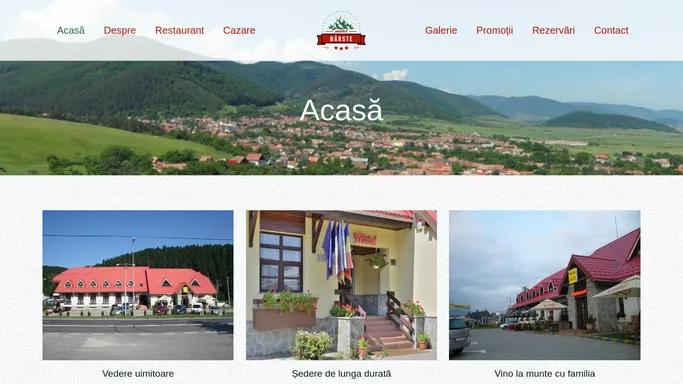 Motel Darste – Liniste, relaxare si mancare excelenta!