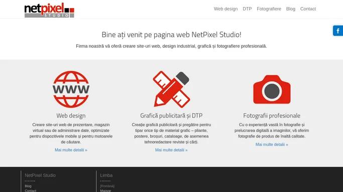 Pagina web al firmei NetPixel Studio