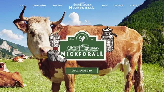 Nick Farm – Produse lactate – Ferma de bovine SC AGRO NIK FOR ALL SRL